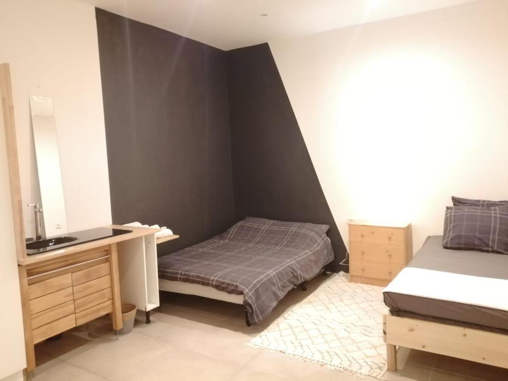 Loft Viarhona, Grand Loft En Centre-Ville Lyon Exterior foto